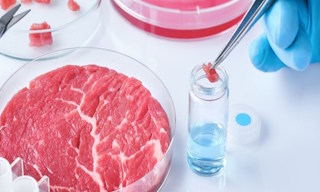 Лабораторный анализ пищевых продуктов по СанПиН в Череповце в октябре