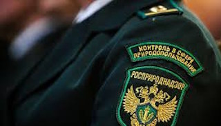 Подготовка к проверке Росприроднадзора в Череповце от ПромМир-Чрп, стоимость услуги от 20442 руб.